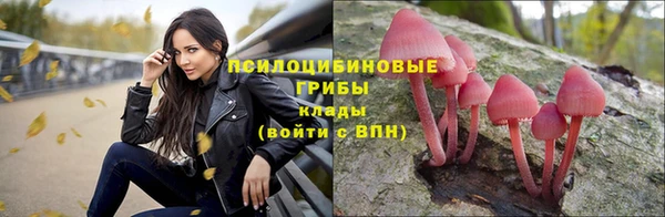 apvp Армянск